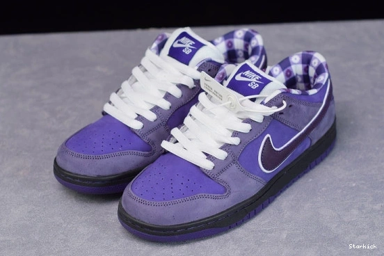 BV1310-555 Concepts Dunk Low SB Lobster Purple Nike 1008